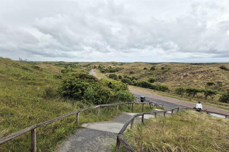 Natuur- en duinengebied Meijendel