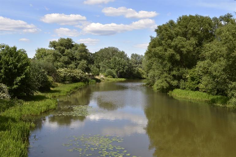 Natuur en water rondom Wolfsburg