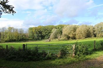 Natuurdomein Wolfsputten, Pajottenland