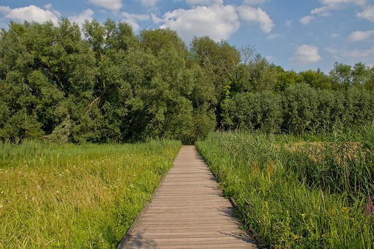 Natuurgebied Bourgoyen-Ossemeersen