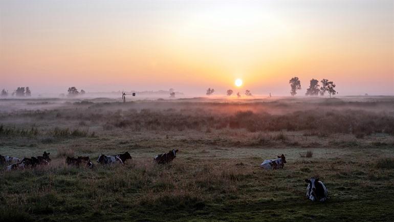 Natuurgebied Weerribben-Wieden
