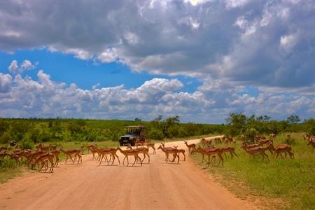 Natuurparken in Zuid-Afrika