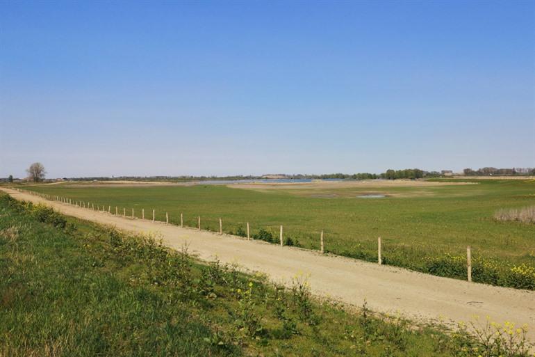 Natuurreservaart Bichterweerd, naast de Maas