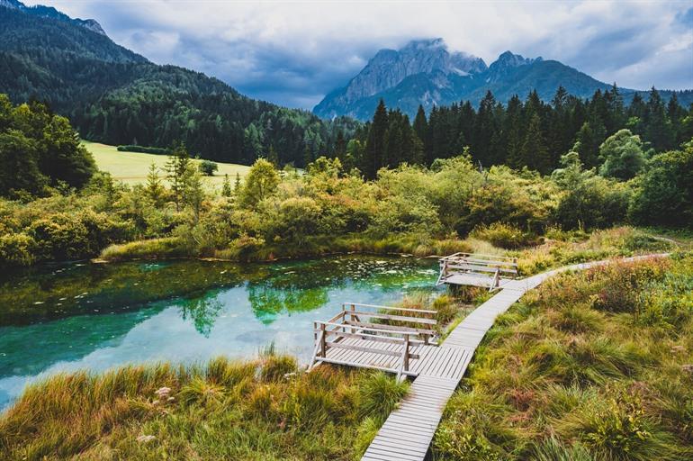 Natuurreservaat Zelenci in Slovenië