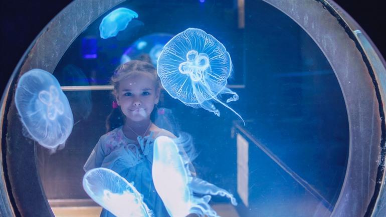 Nausicaa Aquarium Boulogne-sur-Mer