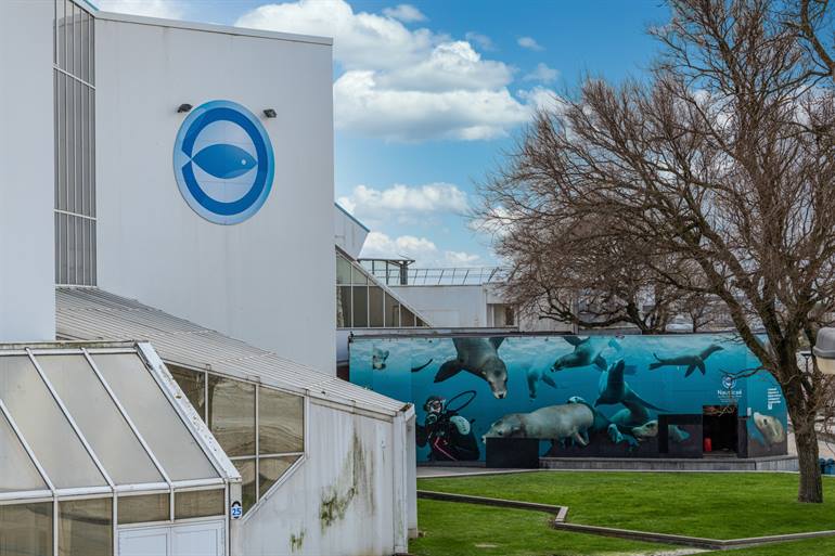 Nausicaa in Boulogne-Sur-Mer