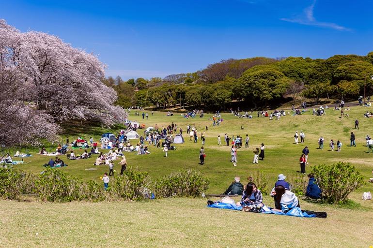 Negishi Forest Park