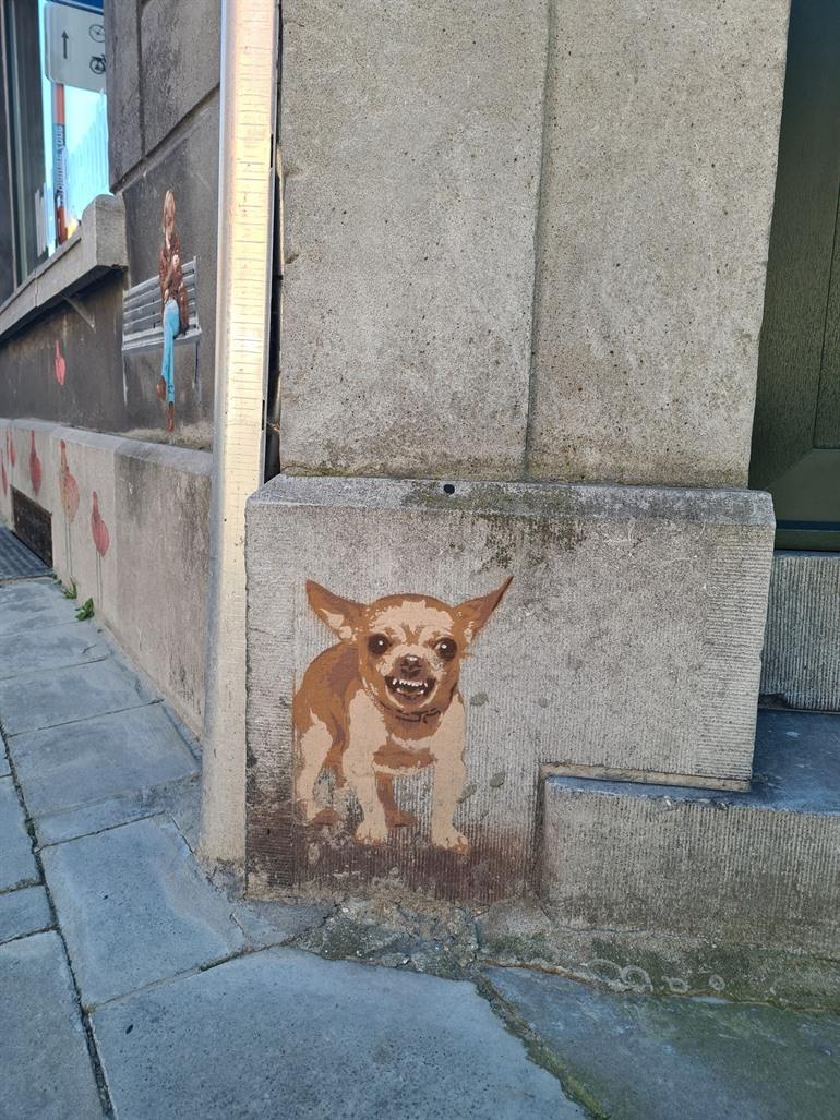 Nog enkele sfeerbeelden uit Roeselare