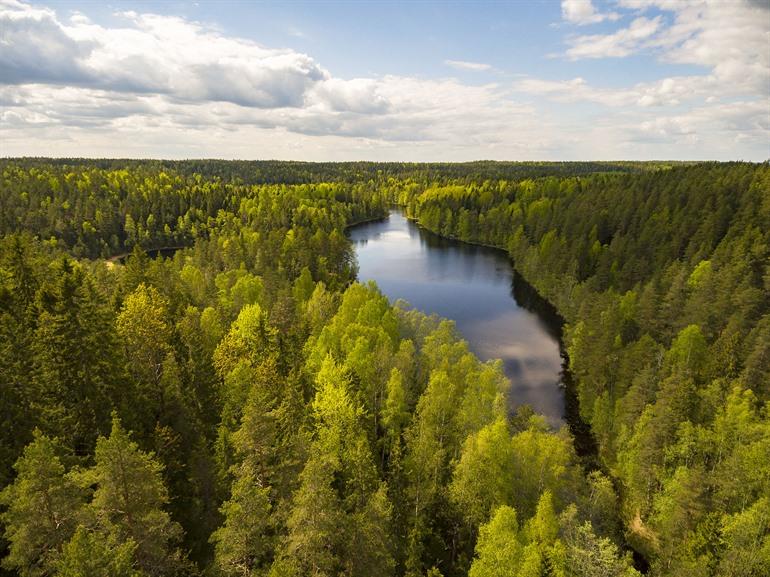 Nuuksio National Park, Finland