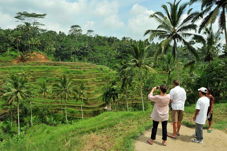 Of laat je rondrijden tijdens een begeleide dagtour langs de mooiste plekjes van Ubud