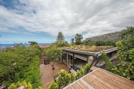 Of midden in de natuur bij Cottage Strelitzia among Avocados