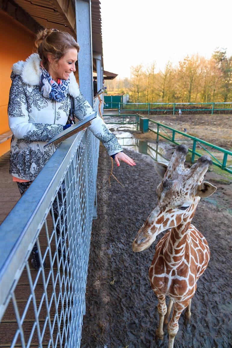 Olmense zoo in Balen, Antwerpse kempen