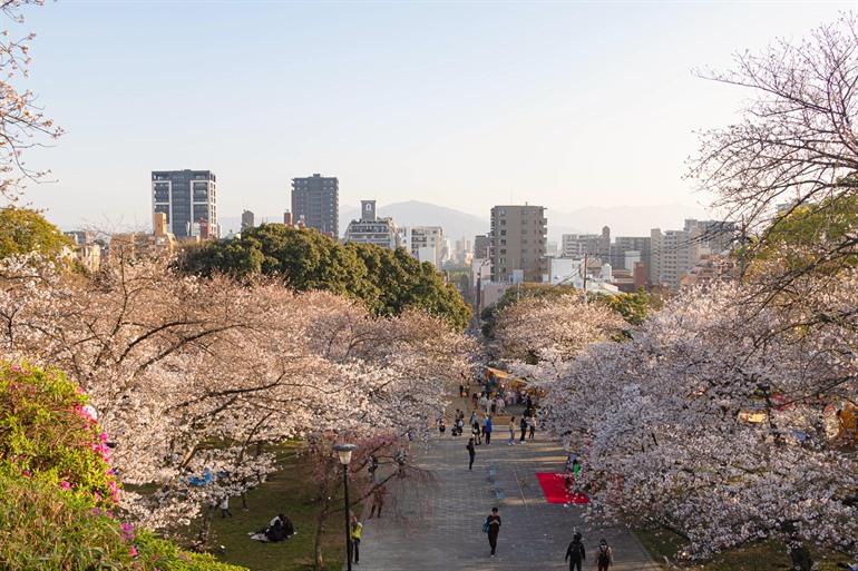 Ontdek de stad Fukuoka