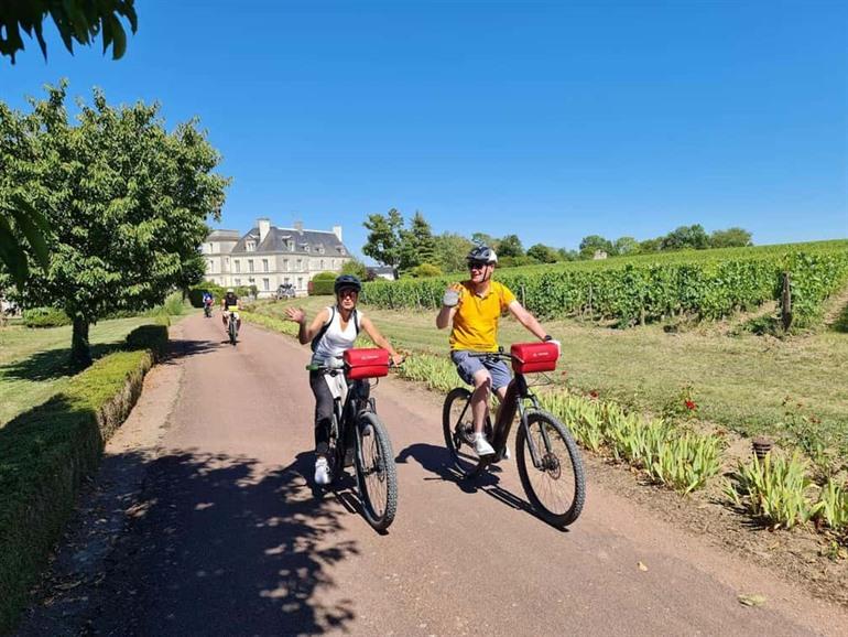 Ontdek de wijngaarden rondom Angers tijdens een leuke fietstocht langs de wijnvelden