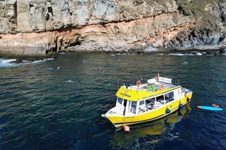 Op snorkelavontuur rondom Puerto de Mogán