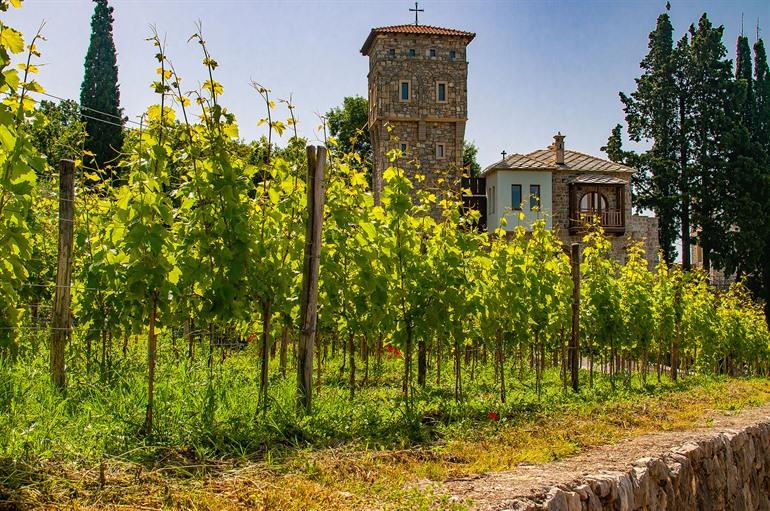 Orthodox klooster van Tvrdoš met wijngaard, Bosnië en Herzegovina