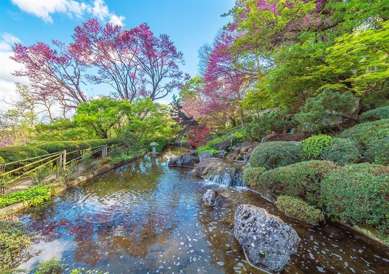 Orto Botanico in Rome
