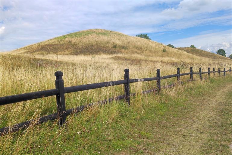 Oude heuvels in Gamla Uppsala