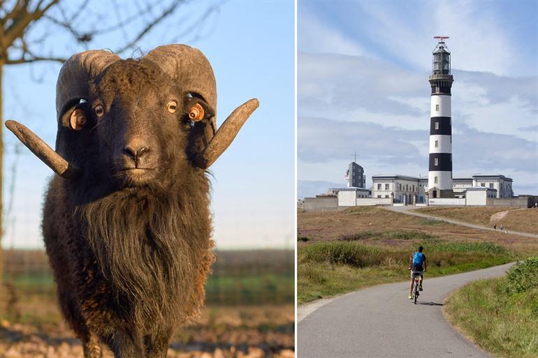 Ouessant (Ushant), Bretagne