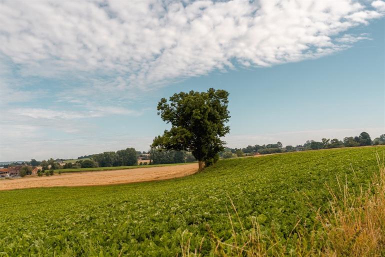 Over de heuvels naar Irchonwelz