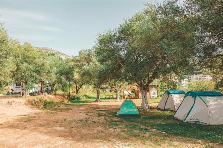 Overnacht in Unique Stay at Olive Camping