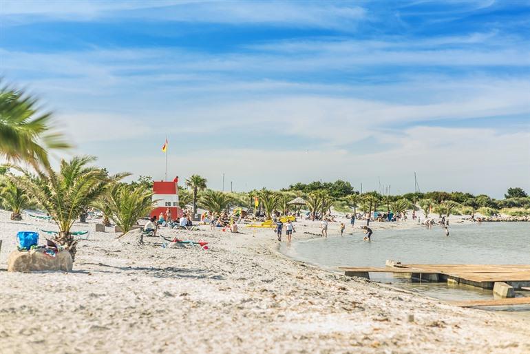Palmenstrand bij Frederikshavn, Denemarken