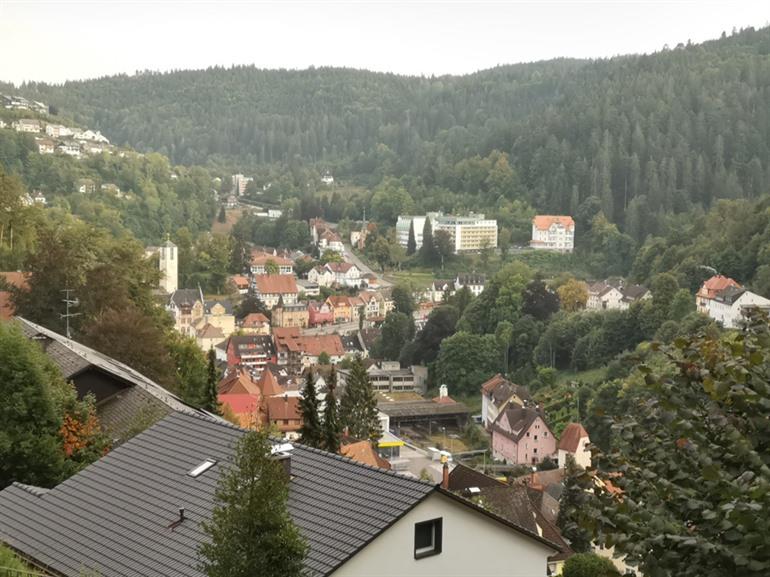 Panoramawandeling watervallen van Triberg