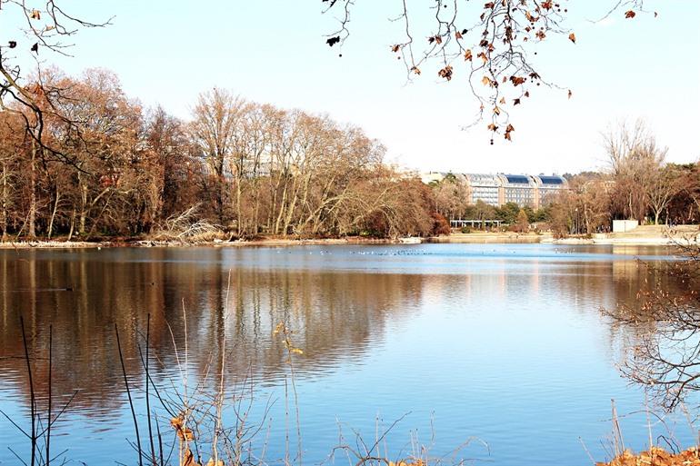 Parc de la Tête d'or in Lyon, Frankrijk
