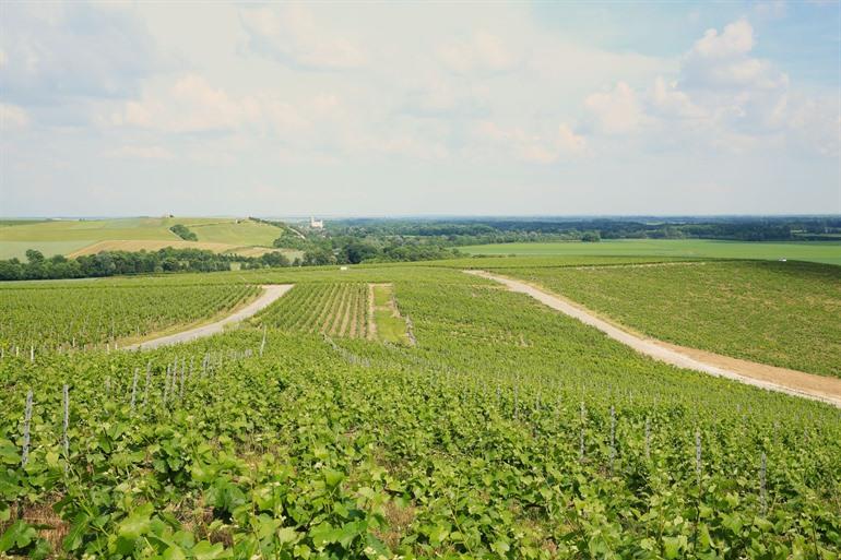 Parc Naturel Régional de la Montagne de Reims