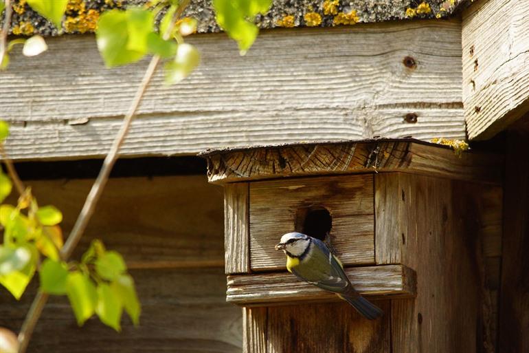 Parc Ornithologique du Marquenterre, Picardië