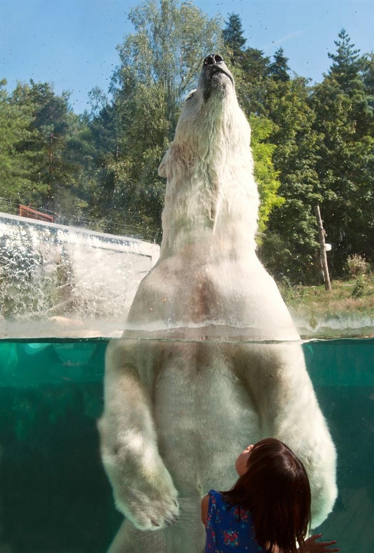 Parc zoologique et botanique de Mulhouse