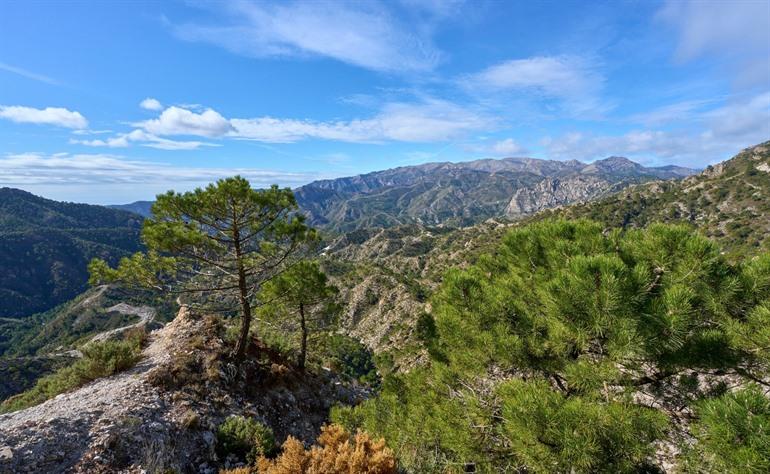 Parque Natural de Sierras de Tejeda, Almijara y Alhama