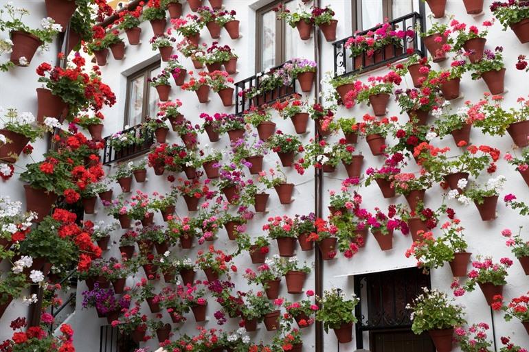 Patio festival Cordoba