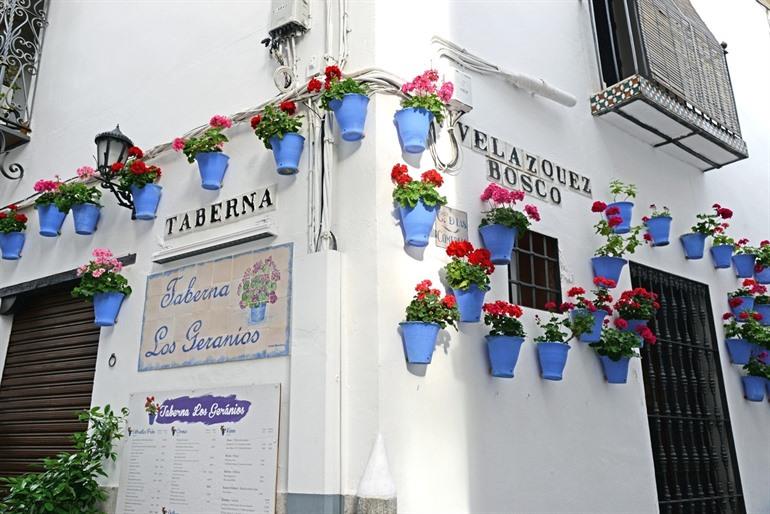 Patio festival Cordoba