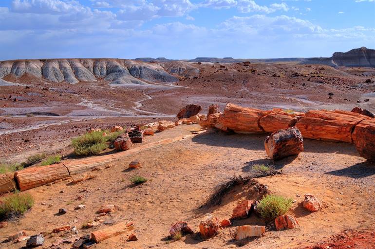 Petrified Forest National Park