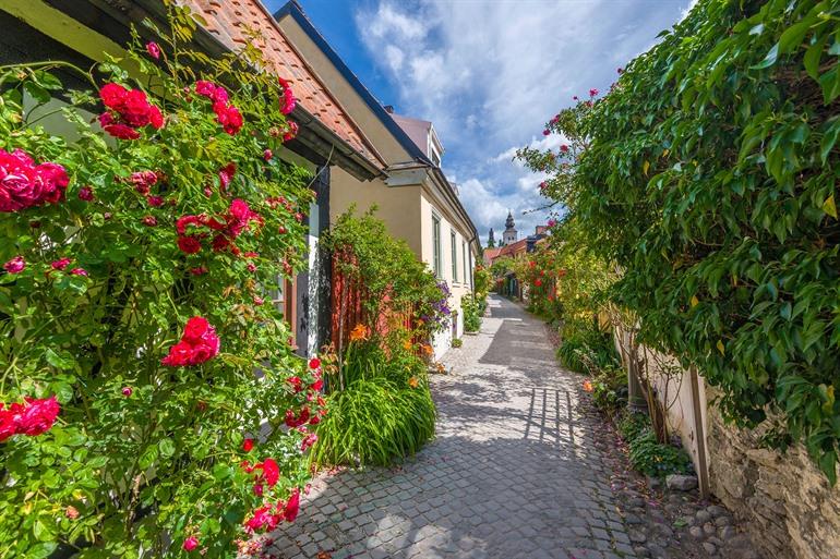 Pittoresk steegje Fiskargränd Alley in Visby