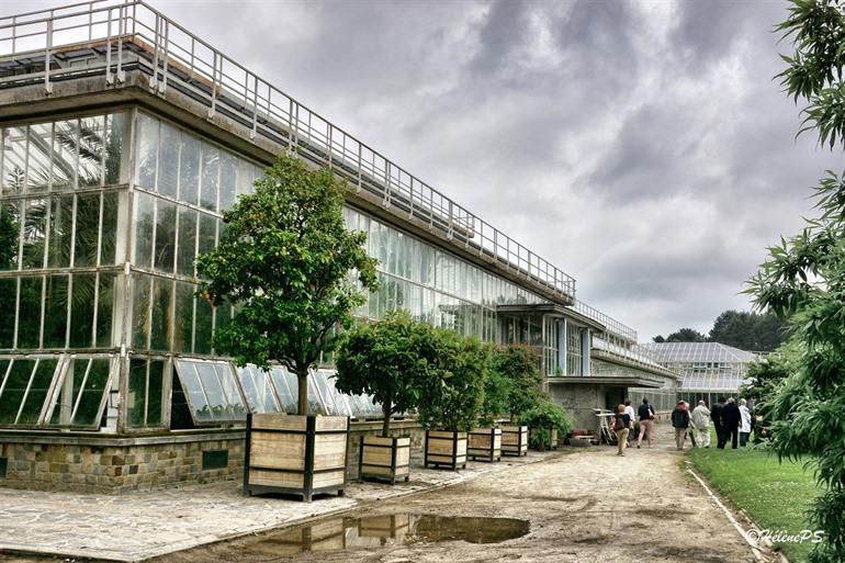 Plantenpaleis  in Plantentuin Meise