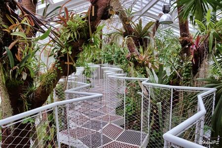 Plantentuin Meise bezoeken? Tips & achtergrond info