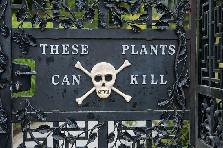 Poison Garden in Alnwick Garden