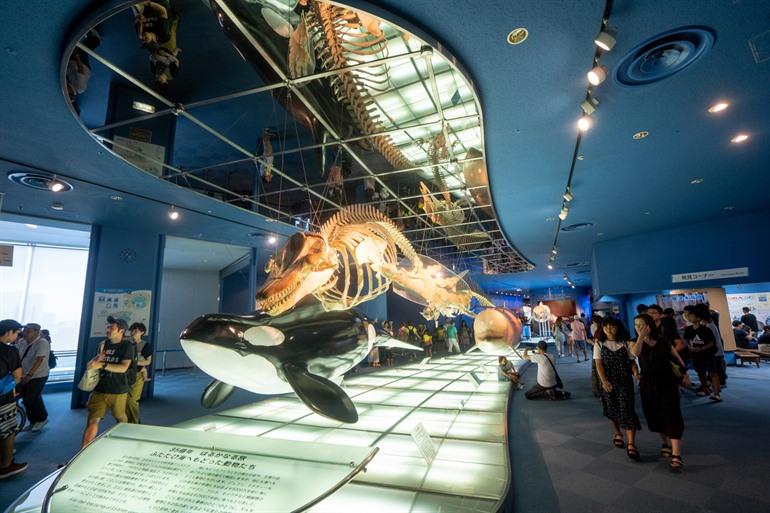 Port Of Nagoya Public Aquarium