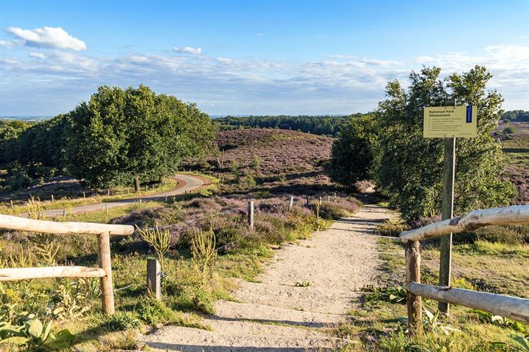 Posbank in Nationaal park Veluwezoom, Gelderland