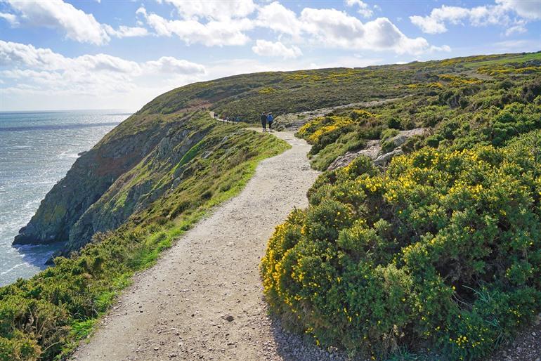 Prachtige klifwandeling vlakbij Dublin: Howth Cliff Walk, Ierland