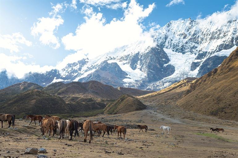 Prachtige uitzichten op de Salkantay Trek