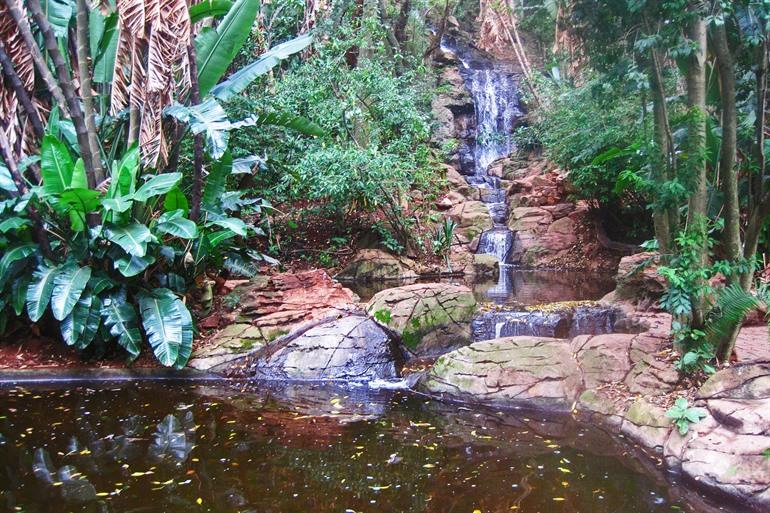 Pretoria National Botanical Garden