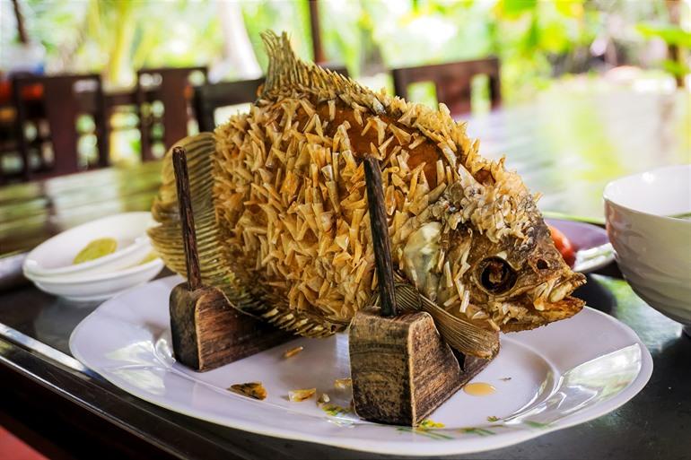 Proef de olifantenorenvis tijdens je verblijf in de Mekongdelta