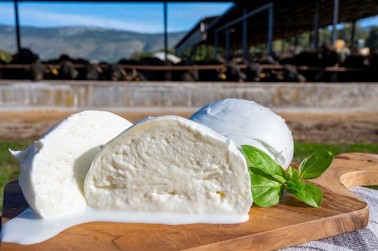 Proef een echte mozzarella di bufala, Campanië