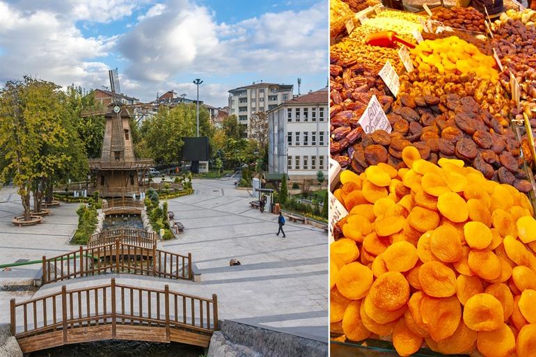 Proef van de typische Malatya abrikozen, Cappadocië