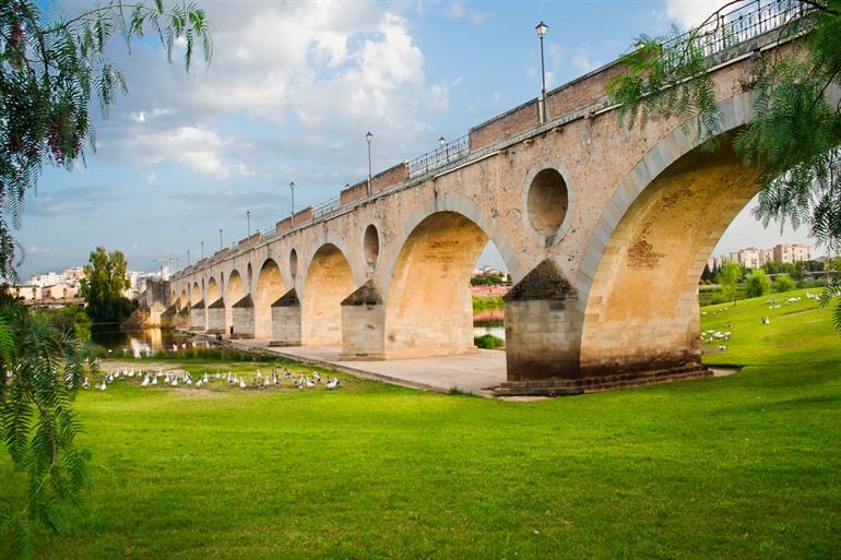 Puente de Palmas