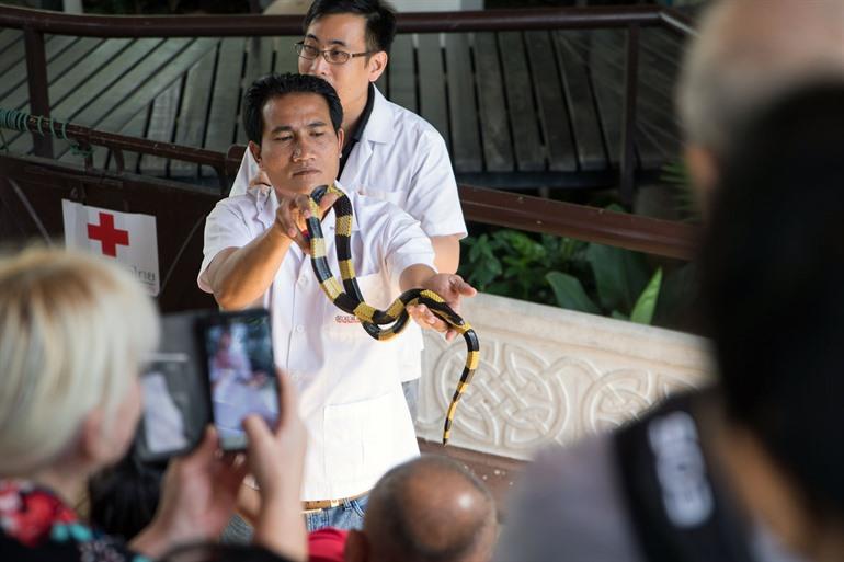 Queen Saovabha Memorial Snake Farm, Bangkok
