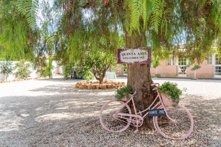 Quinta Aida Cottage B&B-suites boeken in Lagoa